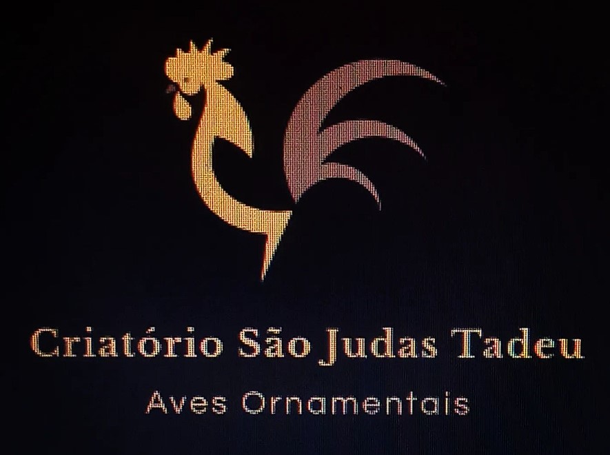 Captura de tela 2023-08-22 160833