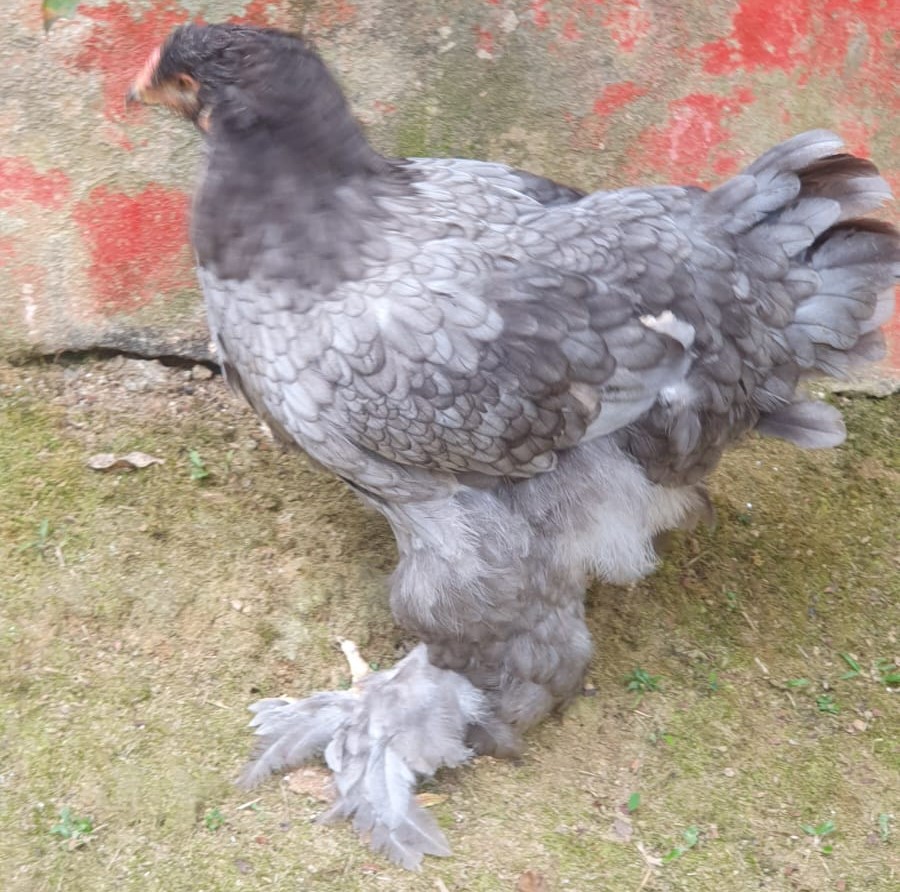 WhatsApp Image 2023-09-05 at 17.52.49 123